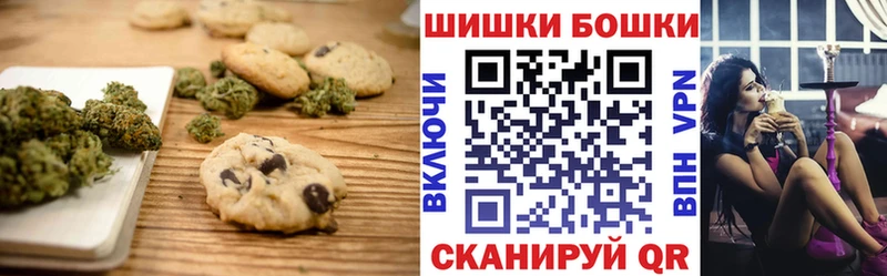 Купить закладки  Вытегра  Canna-Cookies марихуана 