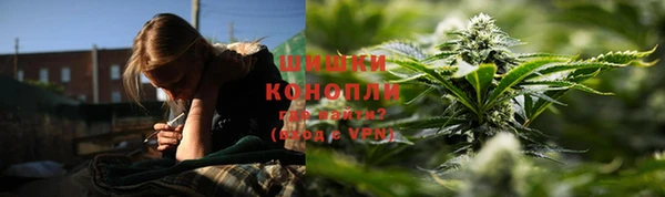 spice Балахна