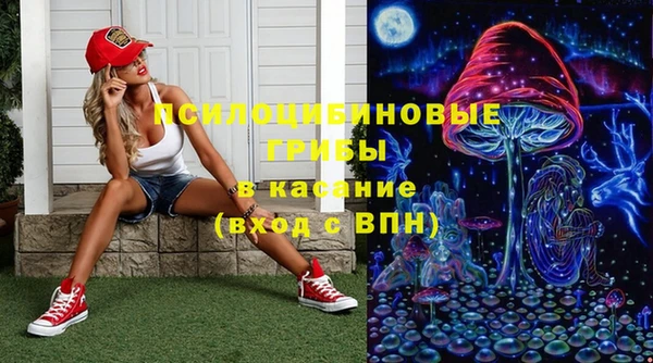 твердый Белокуриха