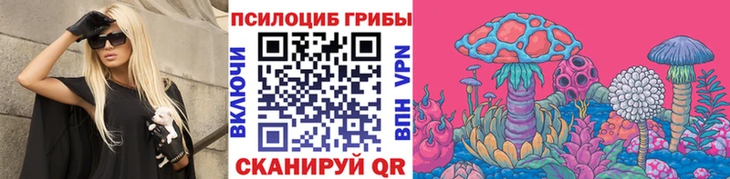 Галлюциногенные грибы MAGIC MUSHROOMS  Купить  Вытегра 